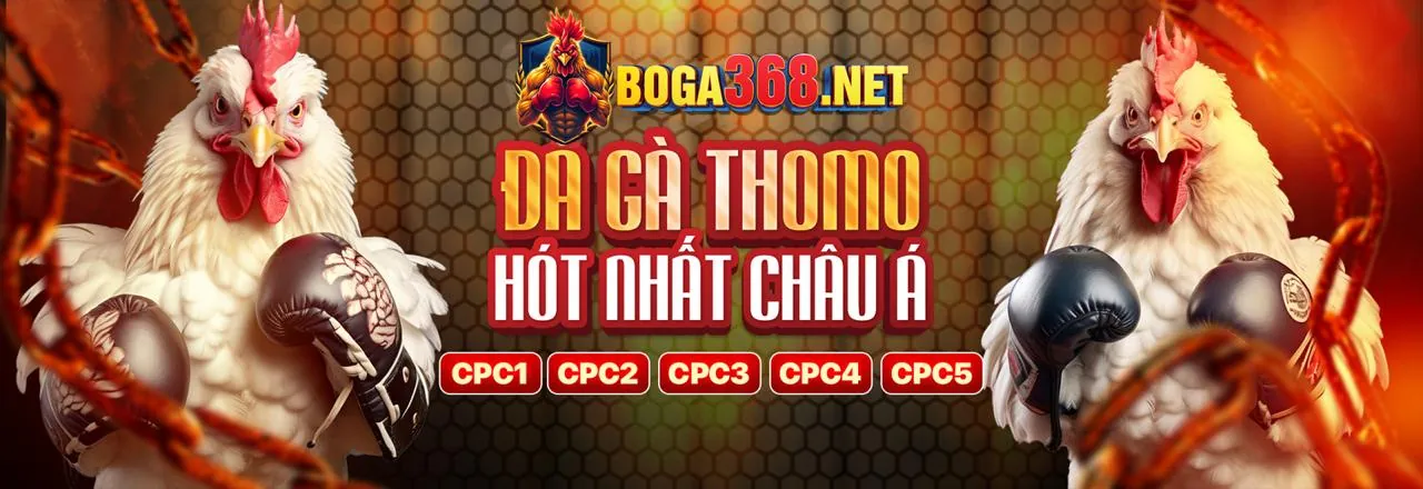 Game Tiến Lên Miền Nam
